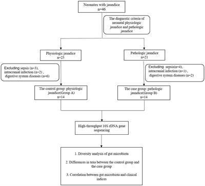 The relationship between gut microbiota and neonatal pathologic jaundice: A pilot case-control study